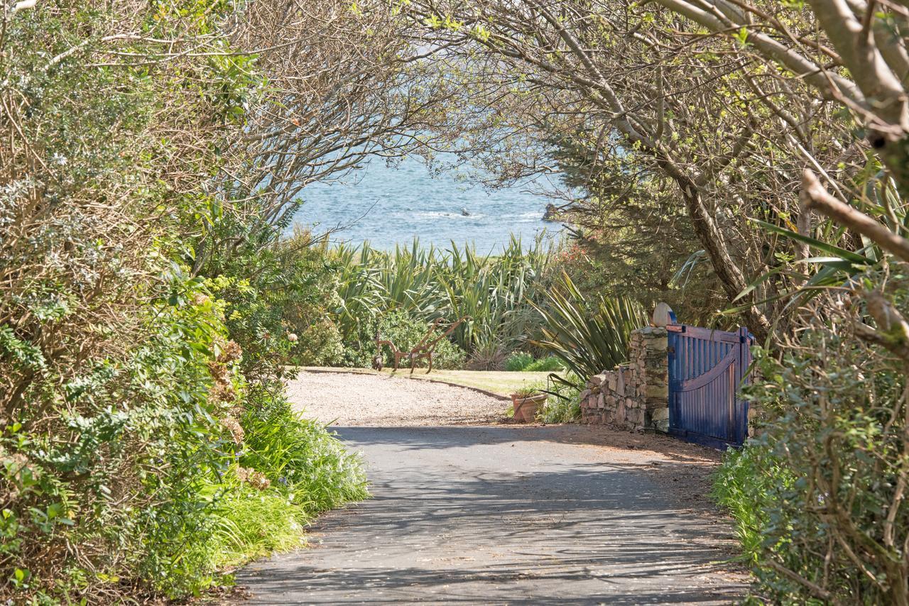 מלון קליפדן Dolphin Beach House מראה חיצוני תמונה