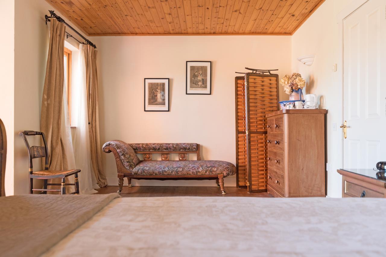 מלון קליפדן Dolphin Beach House מראה חיצוני תמונה